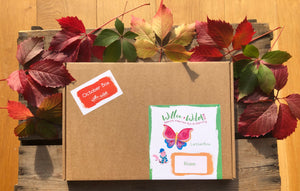 Willow & Wild Box - LetterBox Size Nature Craft & Gardening Kit