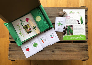 Grow your own Vegetable garden kit