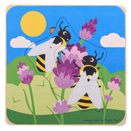 Bee Life Cycle Puzzle