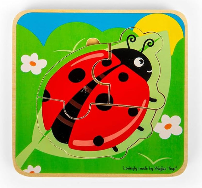 Ladybird wooden puzzle