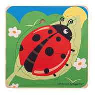 ladybird Life Cycle Puzzle