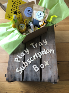 12 Month Play Tray Subscription