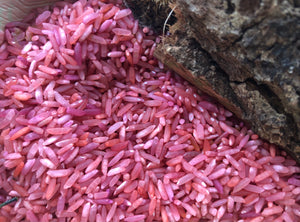 Autumn Colours Sensory Rice