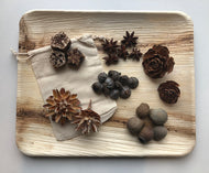 Autumn Seeds & Pods Loose Parts Bag