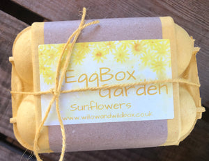Egg Box Garden - Sunflowers