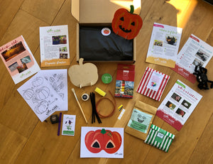 Willow & Wild Box - BumperBox Size Nature Craft & Gardening Kit