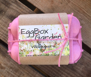 Egg Box Garden - Wildflowers