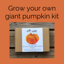 Load image into Gallery viewer, Grow your own giant pumpkin kit