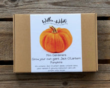 Load image into Gallery viewer, Grow your own giant pumpkin kit