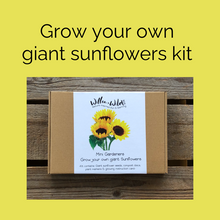 Load image into Gallery viewer, Grow your own giant sunflower kit