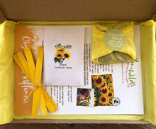 Load image into Gallery viewer, Grow your own giant sunflower kit