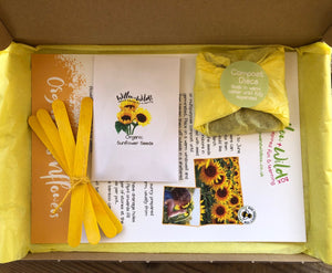 Grow your own giant sunflower kit