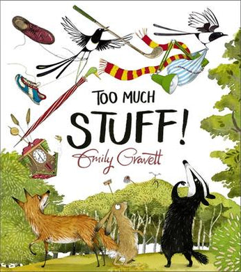 Too Much Stuff Book