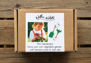 Grow your own Vegetable garden kit with tool set and pots